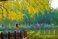 91麻豆国产福利在线观看-赏味国产影视文化，91麻豆——借光生活之窗的温暖