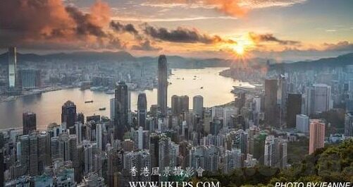 成人视频电影网-成人视频电影网，理性审视与自我保护