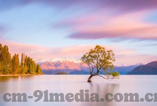 果冻传媒艳母-果冻传媒与艳母，文化与艺术的跨界探索