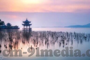 麻豆传媒官网-麻豆传媒，数字时代的文化新触点
