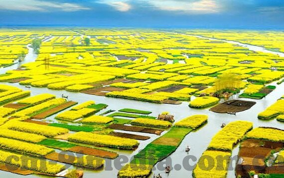 麻豆自制剧情国产app-麻豆自制剧情，探究国产APP的创意与挑战